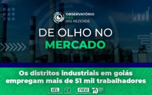 Distritos Industriais foco no mercado