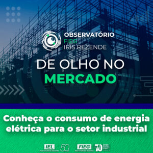 O consumo de energia elétrica para o setor industrial