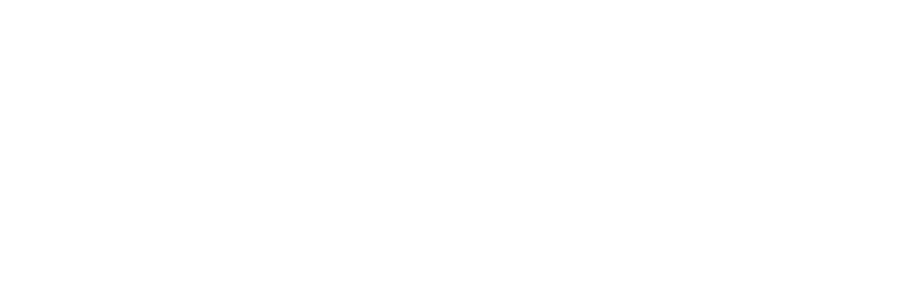 marca fieg 2024 completa negativada